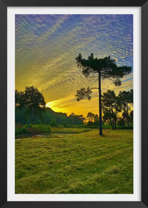 Au milieu de la nature - tableau paysage nature