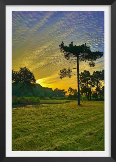 Au milieu de la nature - tableau paysage nature