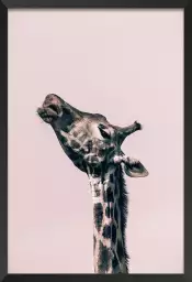 Girafe Ma Reine - affiche animaux