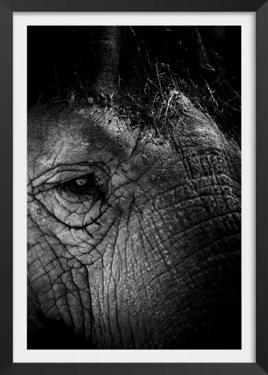 Close Up - tableau eléphant