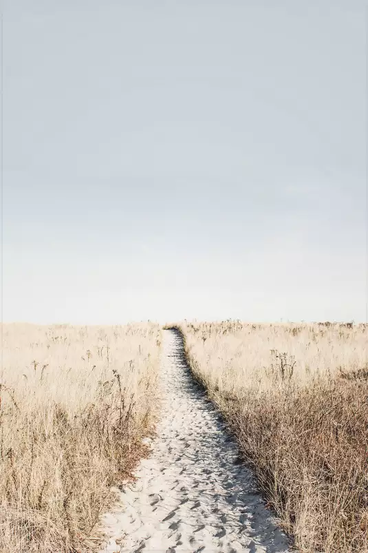 Chemin dans la dune - poster mer