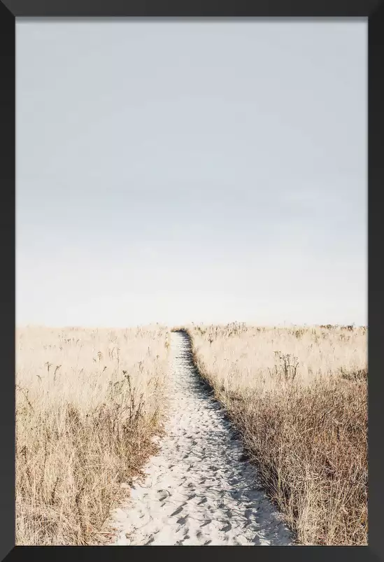 Chemin dans la dune - poster mer