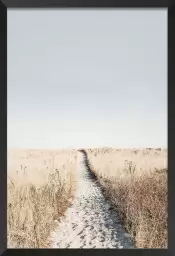 Chemin dans la dune - poster mer