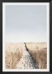 Chemin dans la dune - poster mer