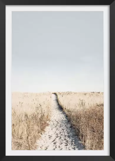 Chemin dans la dune - poster mer