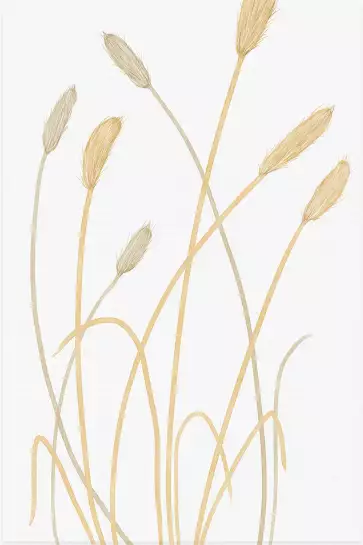 Scandi blés 2 - poster line art