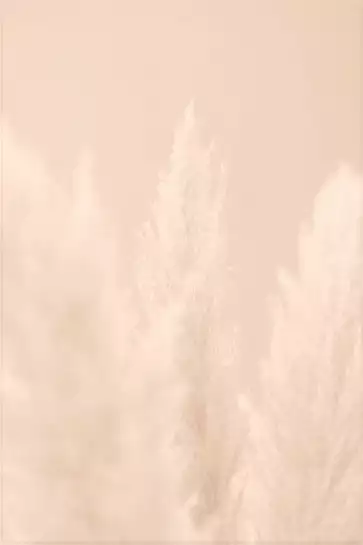 Scandi roseaux - tableau plantes