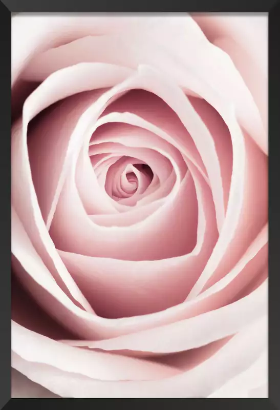 Posters Infinity Rose Love - Lot De 8 Posters Double Face Fleurs Roses Et Paris
