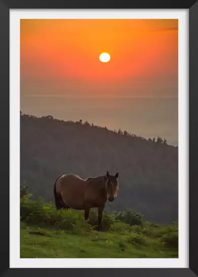 Pottok sur Jaizkibel - poster sud ouest