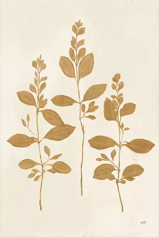 Recolte d'or fresca - silhouette plante
