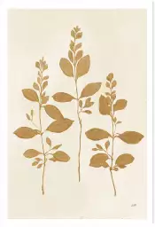 Recolte d'or fresca - silhouette plante