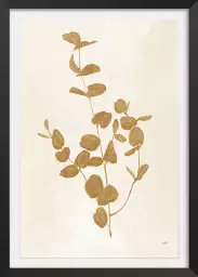 Recolte d'or roya - silhouette plante