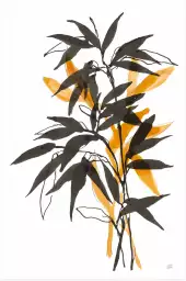 Orange bambou - silhouette plante