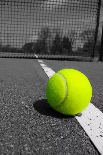 Tennis balle jaune - tableau sport