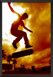 Skater - tableau sport