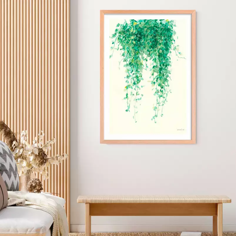 Plante tropicale Ceropegia illustrée - tableau feuillage exotique