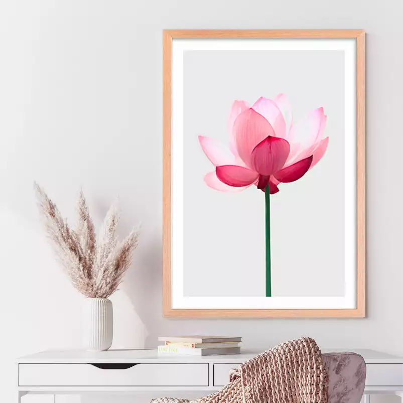 Lotus rose - poster zen