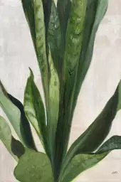 Sanseveria aquarelle - tableau feuillage exotique