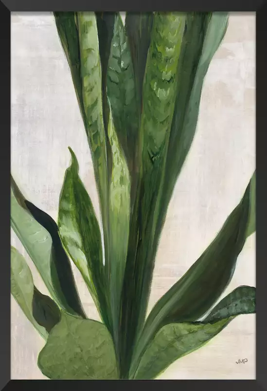 Sanseveria aquarelle - tableau feuillage exotique