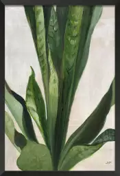 Sanseveria aquarelle - tableau feuillage exotique