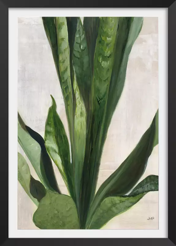 Sanseveria aquarelle - tableau feuillage exotique