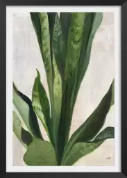 Sanseveria aquarelle - tableau feuillage exotique