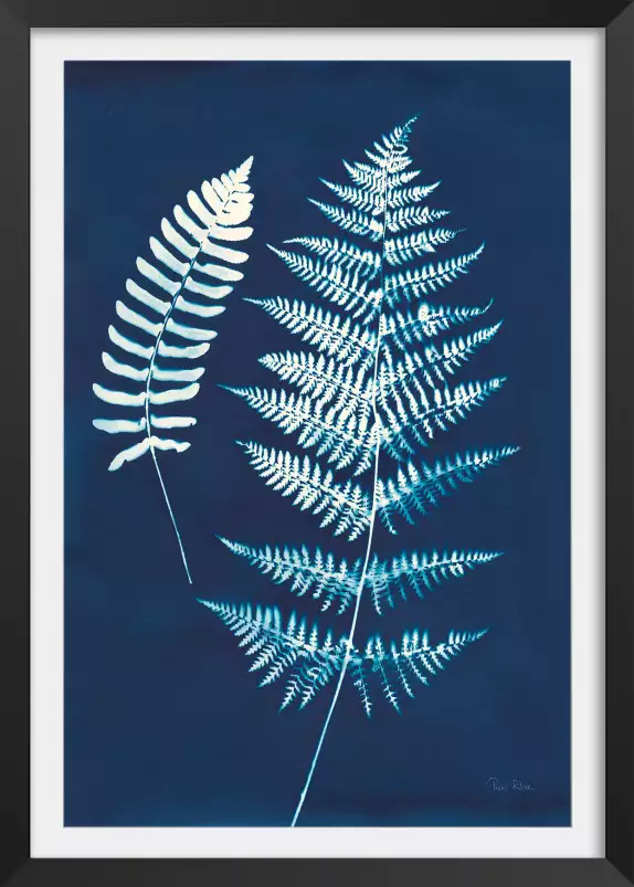 Duo fougères cyanotype - feuille graphique