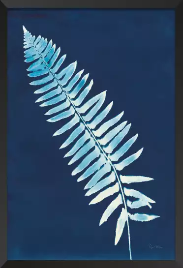 Cyanotype - feuille graphique