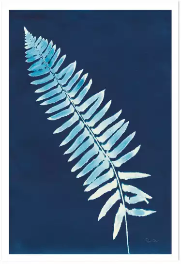 Cyanotype - feuille graphique