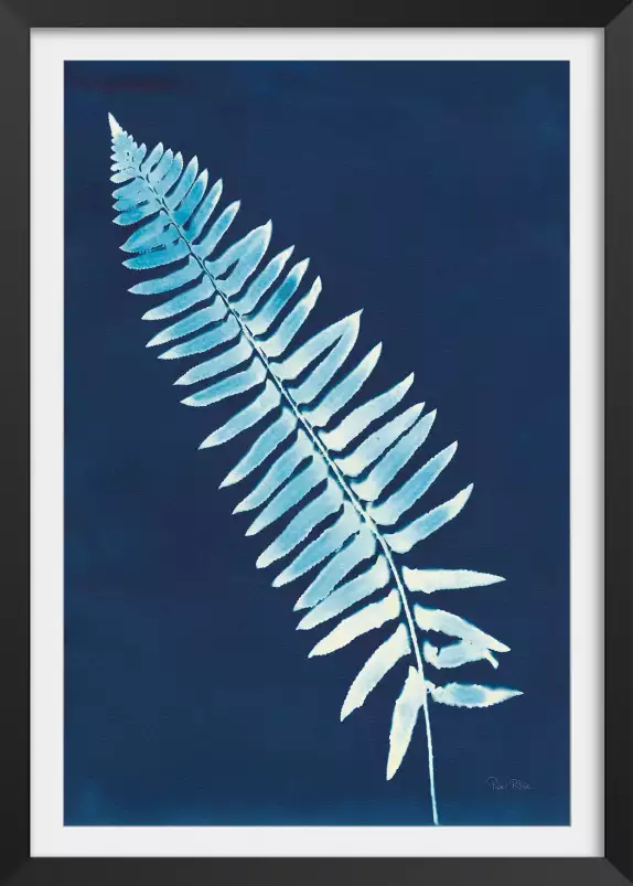 Cyanotype - feuille graphique