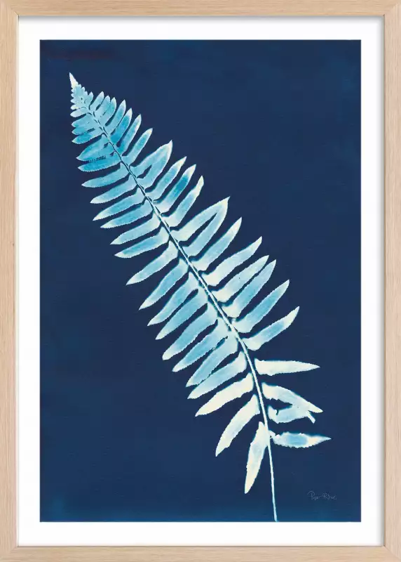 Réalisation d'un cyanotype : illustration botanique