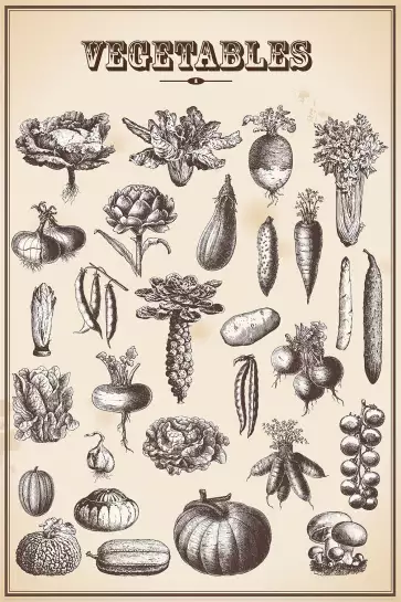 Legumes du jardin - affiche vintage