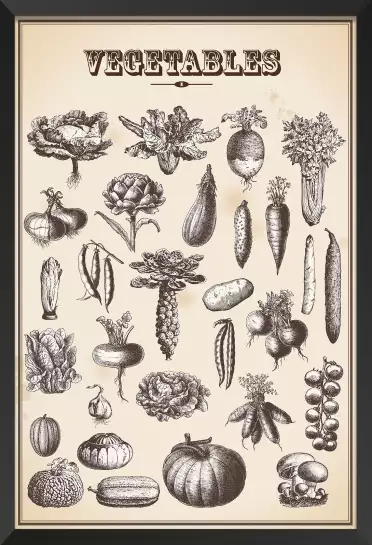 Legumes du jardin - affiche vintage