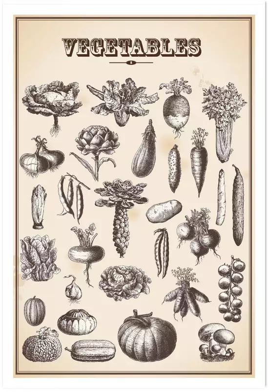 Legumes du jardin - affiche vintage