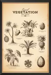 Vegetation tropicale - affiche vintage