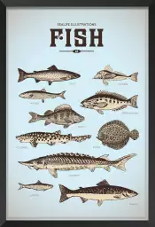 Poissons de la mer - affiche vintage