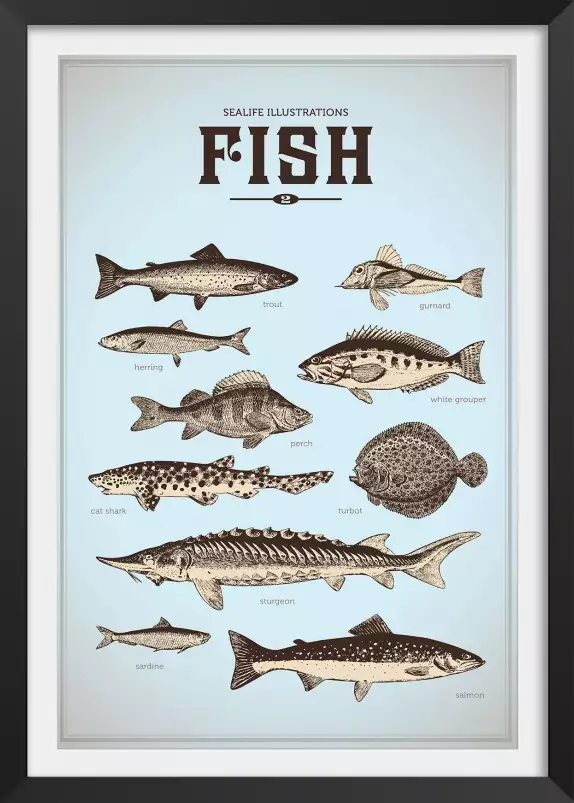 Poissons de la mer - affiche vintage