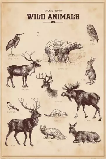 Wild animals - affiche vintage