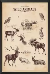 Wild animals - affiche vintage