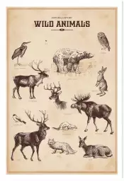 Wild animals - affiche vintage
