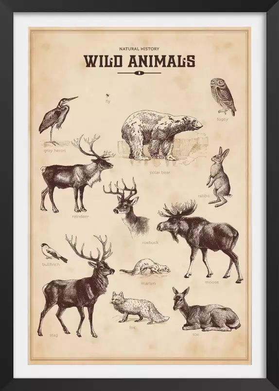 Wild animals - affiche vintage