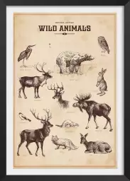 Wild animals - affiche vintage