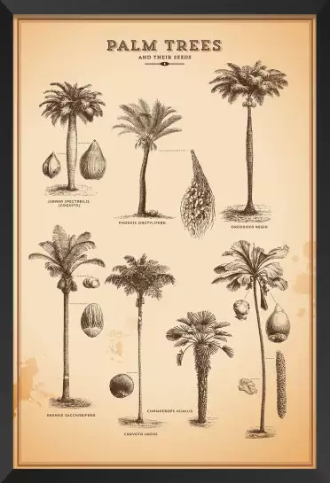 Herbier tropical - affiche vintage