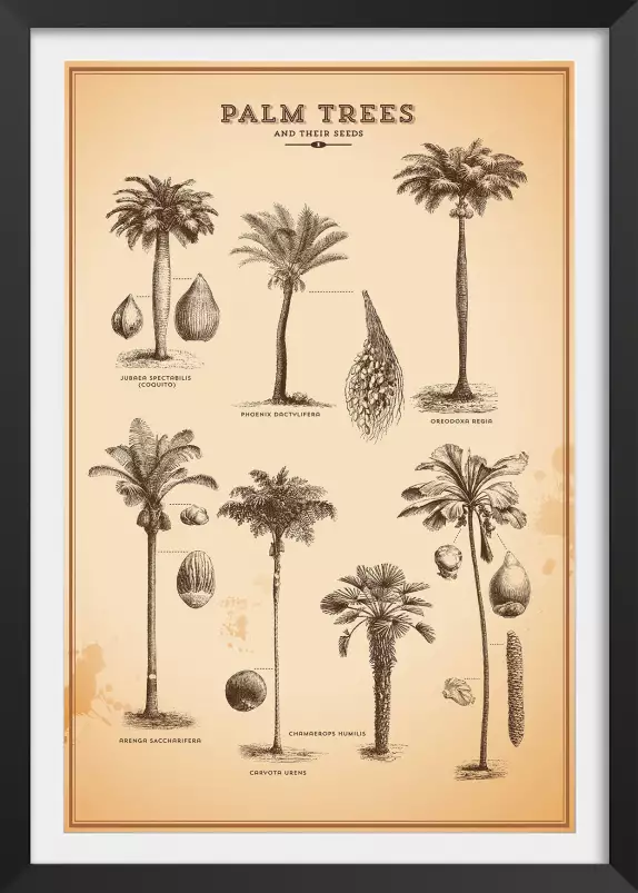 Herbier tropical - affiche vintage