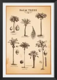 Herbier tropical - affiche vintage