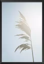 Céréale au matin - poster plantes