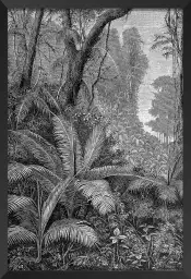 Gravure indienne - tableau jungle