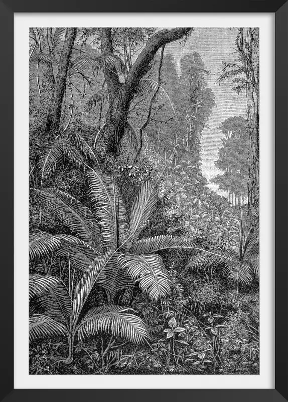 Gravure indienne - tableau jungle