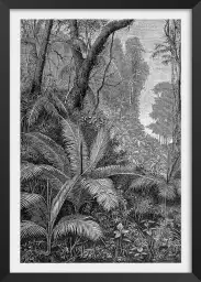 Gravure indienne - tableau jungle