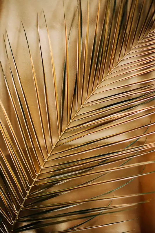 Golden palm - tableau feuillage exotique